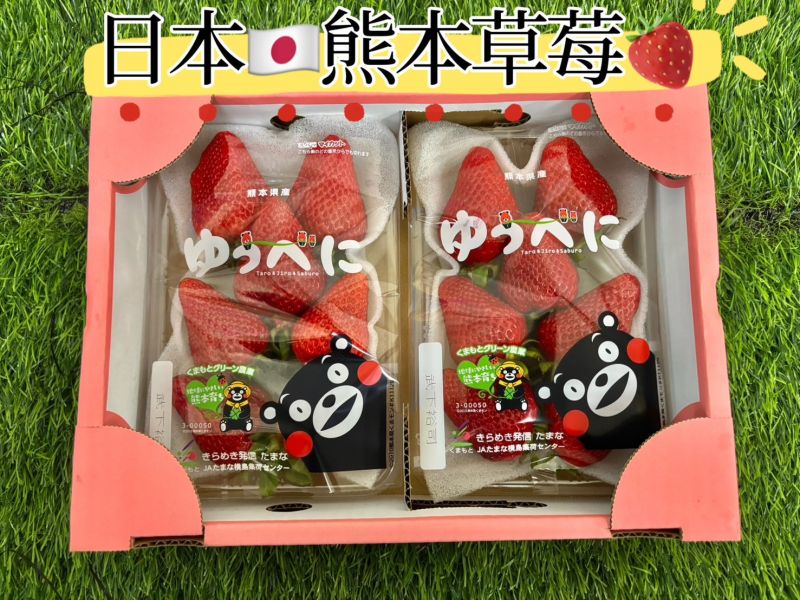 日本空運熊本草莓 季節限定商品！隨機顆數出貨 