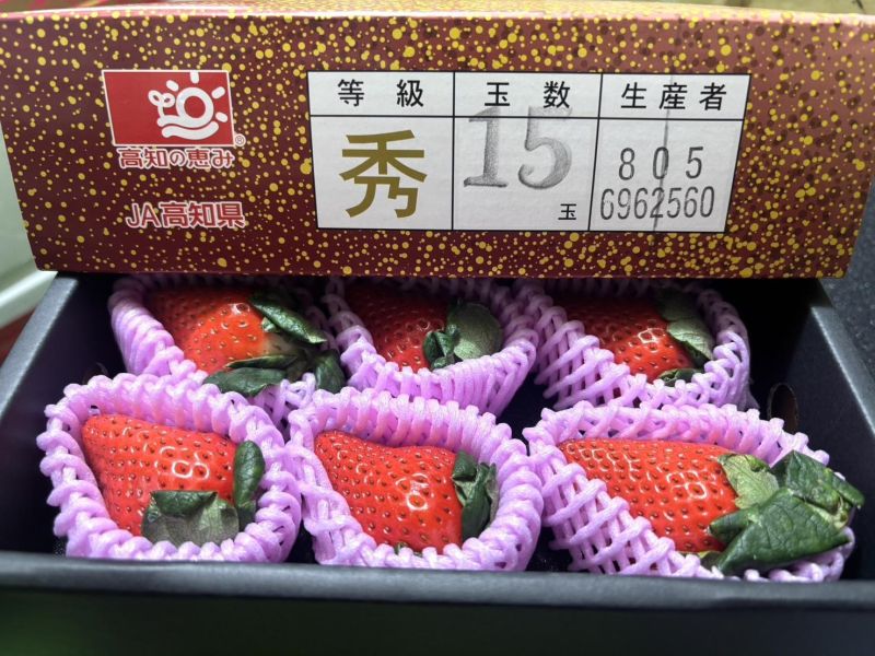 日本高知縣太妃美草莓 精選禮盒款高級品種 