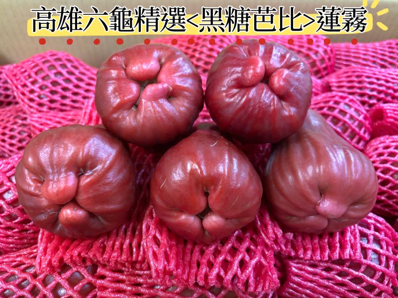 高雄六龜精品等級黑糖芭比蓮霧 脆口甜好吃 水分飽滿 精選大果規格 
