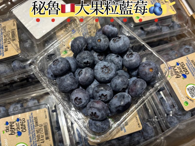 秘魯特大果粒藍莓 酸甜酸甜 滿滿天然花青素 隨機品牌出貨 