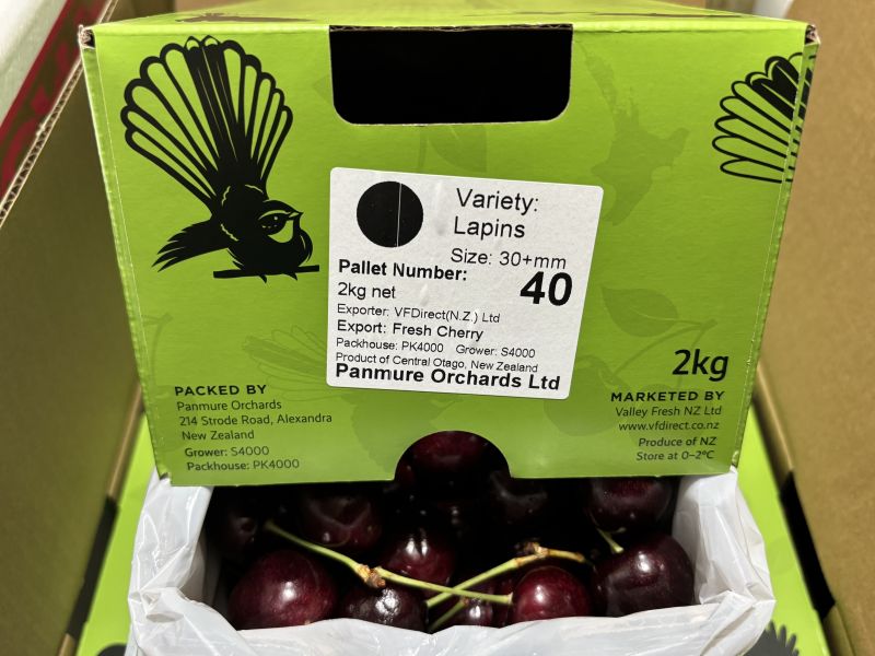 紐西蘭空運精選綠箱櫻桃 30-32mm大果規格 Lapin品種 新鮮綠梗 硬脆甜口感好吃 