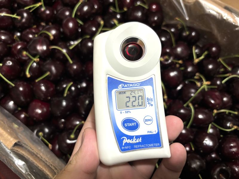 智利空運櫻桃3JD大果規格Santina品種 50元硬幣大小 口感硬甜度高！實測甜度20度以上 