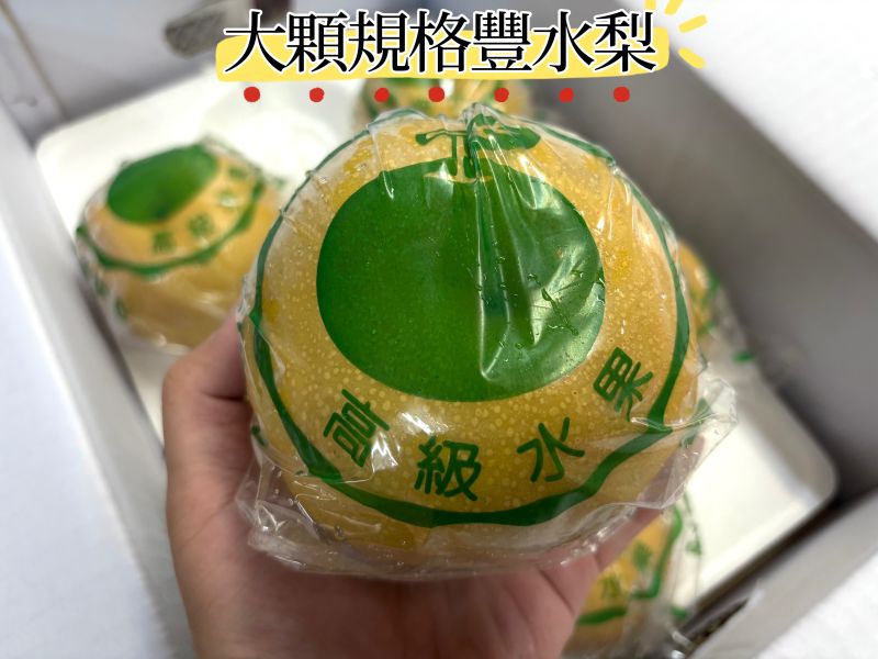 台中東勢豐水梨 脆甜口感 水分飽滿 