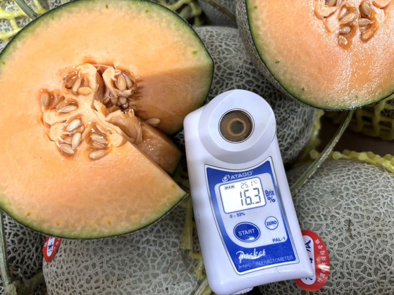 台南後壁七股香/天華橘肉哈密瓜 直接吃就甜 越放甜度越高 軟嫩多汁口感 