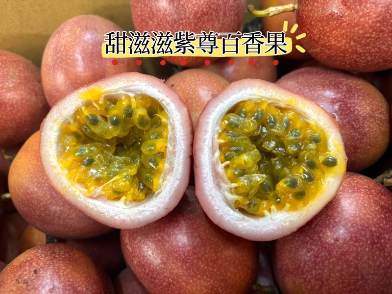 精選甜度高品種 紫尊百香果 好吃0酸氣 淡淡香氣 大果規格 
