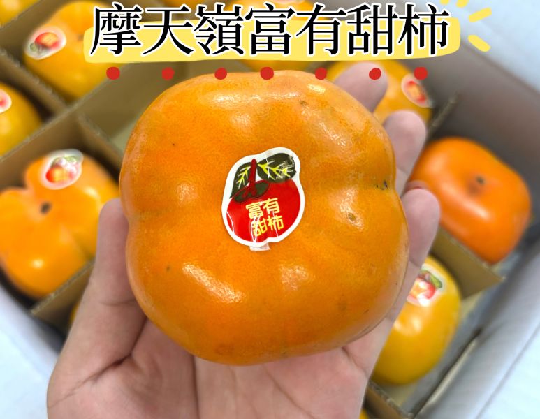 摩天嶺脆甜柿！清甜脆口感 吃硬吃軟都可以 