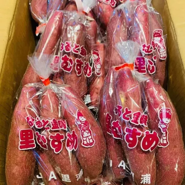 日本德島栗子地瓜  味道香濃甜度高！非常好吃 