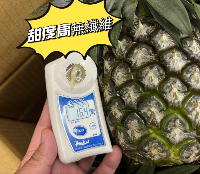 嘉義民雄牛奶鳳梨 肉質細緻無纖維 甜帶點微微酸 