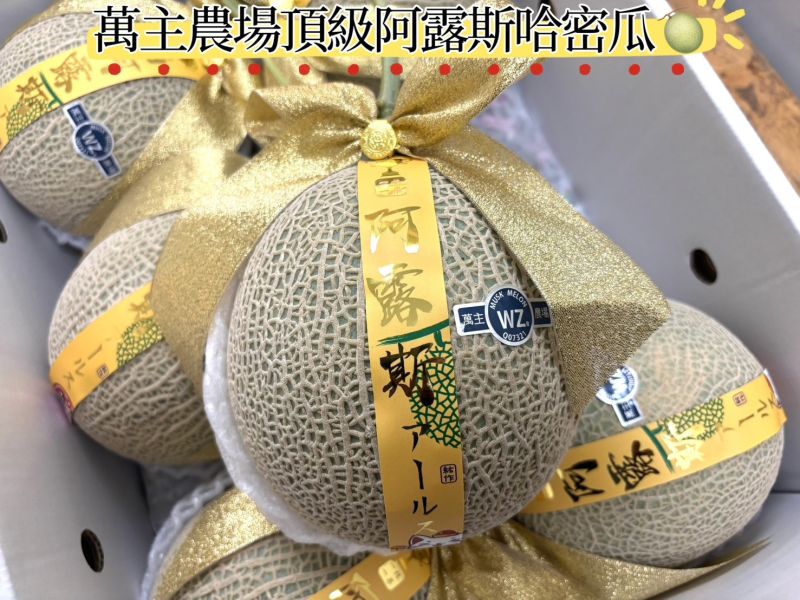溫室精選萬主農場阿露斯哈密瓜 包甜包好吃 放到微軟甜度更高 