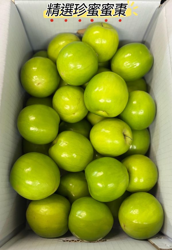 精選高雄阿蓮珍蜜品種蜜棗 細緻口感！ 