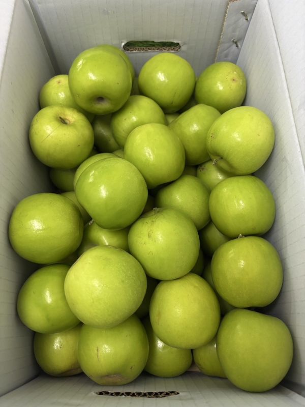 精選高雄阿蓮雪麗品種蜜棗 脆甜細緻口感！ 