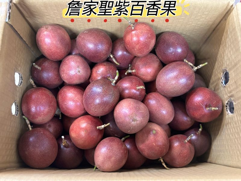 詹家聖紫百香果 大果規格 高甜度酸氣低 