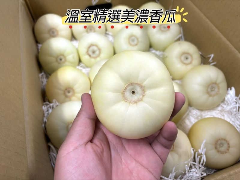 溫室精選香瓜 買回家即可食用 肉質細緻甜度高很好吃！ 