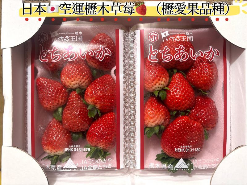 日本空運櫪木縣草莓 超人氣櫪愛果品種 大果粒規格 甜度很高0酸氣 