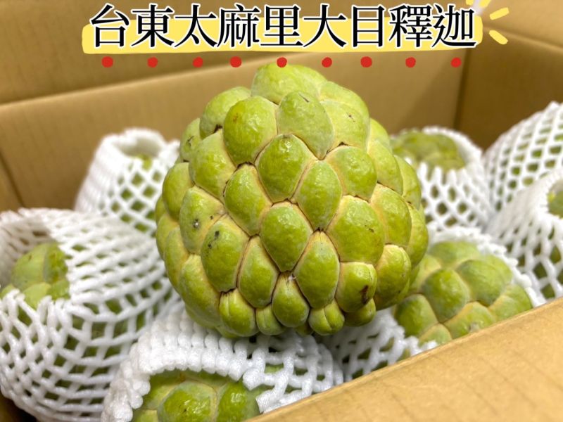 台東傳統大目釋迦 常溫放到微軟即可食用 