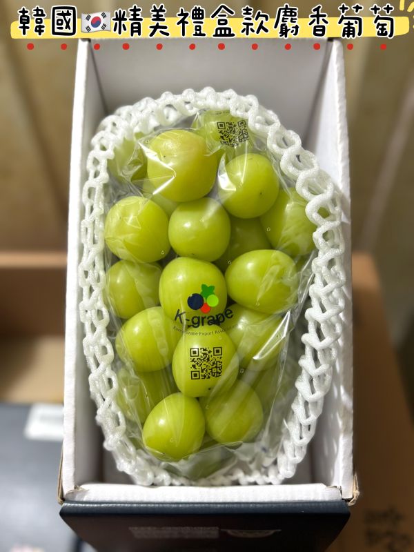 韓國麝香葡萄頂級款 精選禮盒包裝規格 果肉硬甜大顆很好吃！ 