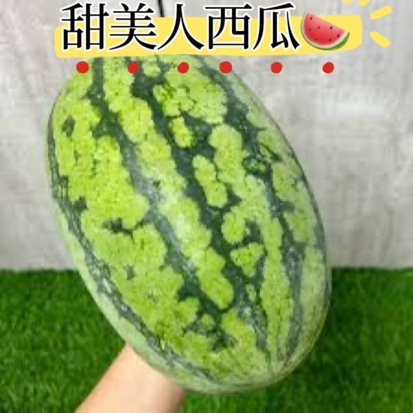 花蓮甜美人品種紅肉西瓜 甜度很不錯好吃 