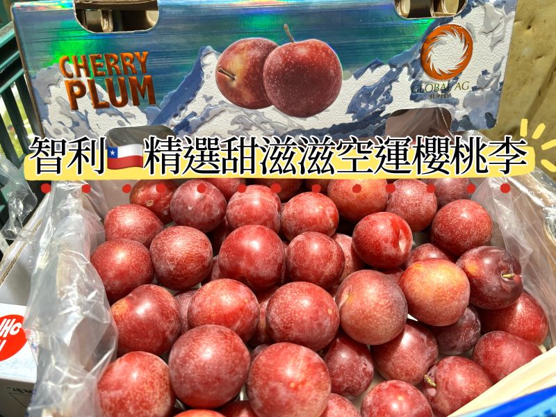 智利空運甜滋滋櫻桃李 3J規格大果 直接吃就是甜的 