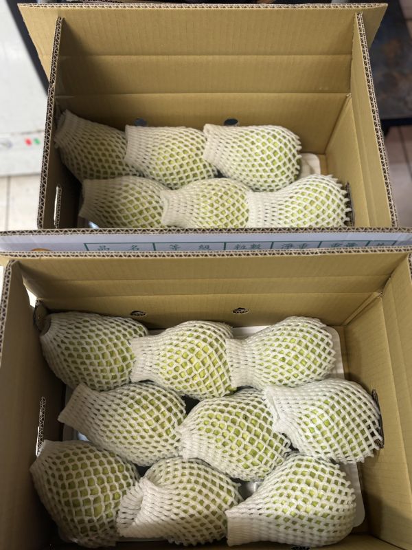 台東精選榴槤釋迦 口感香甜Q嫩 螞蟻人必買！大果規格 鳳梨釋迦升級版 