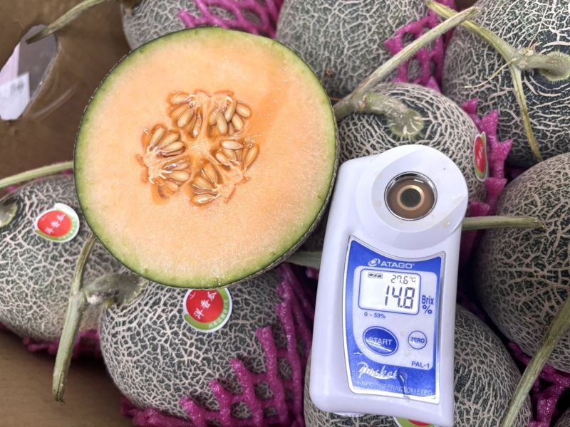 台南後壁精選佩洛斯哈密瓜 脆甜口感 甜度很高超好吃！ 