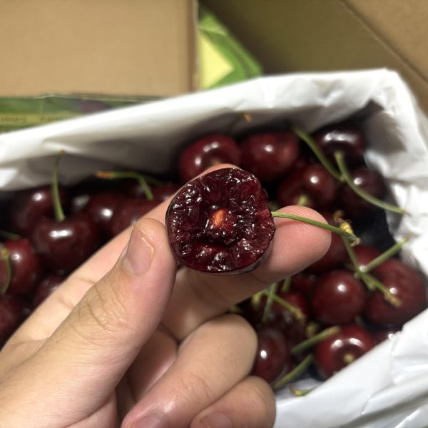 紐西蘭經典品牌空運亞尼士櫻桃 32-34mm特大果 Lapin品種 硬脆甜口感 