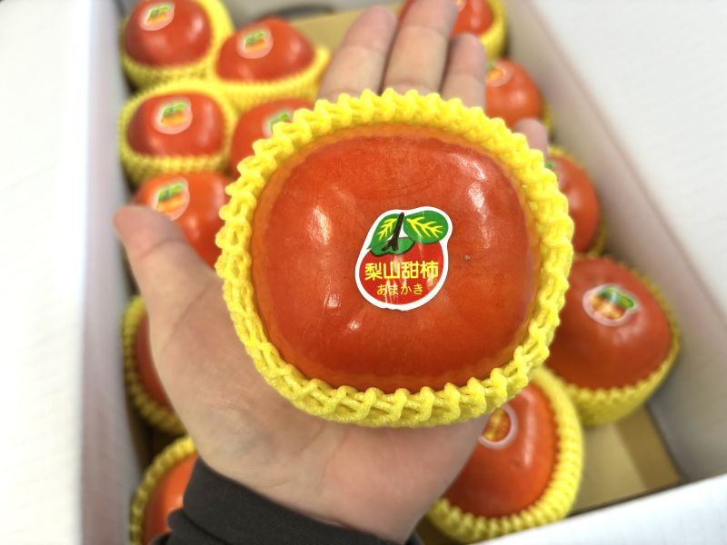 精選梨山產區高海拔富有脆甜柿！脆甜口感 吃硬吃軟都可以 
