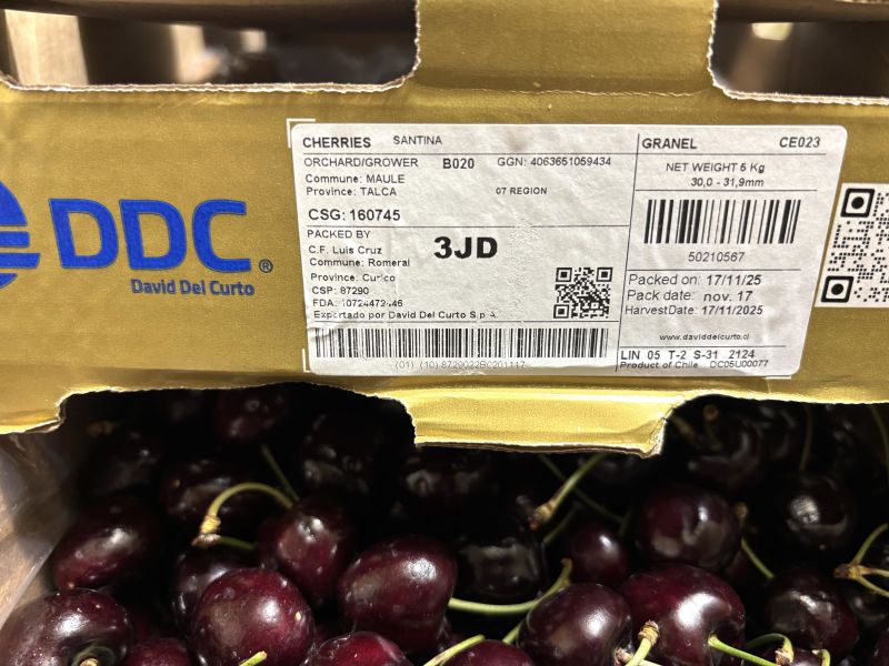 智利空運櫻桃3JD大果規格Santina品種 50元硬幣大小 口感硬甜度高！實測甜度20度以上 
