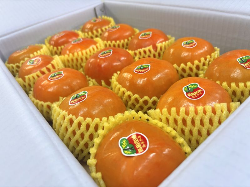 摩天嶺脆甜柿！清甜脆口感 吃硬吃軟都可以 