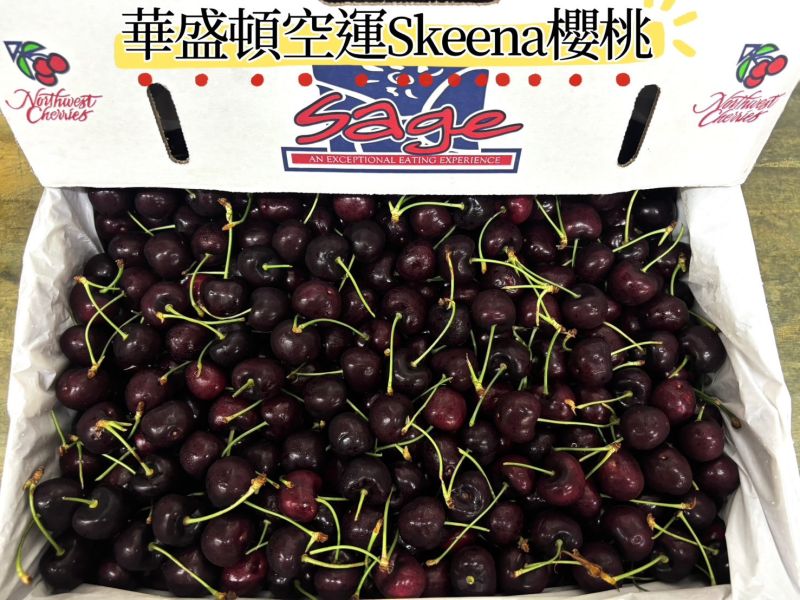 華盛頓空運Skeena櫻桃 口感硬甜度高櫻桃味道濃厚！9R大果規格 