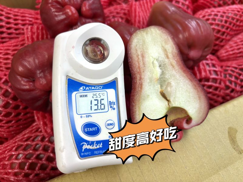 高雄六龜精品等級黑糖芭比蓮霧 脆口甜好吃 水分飽滿 精選大果規格 