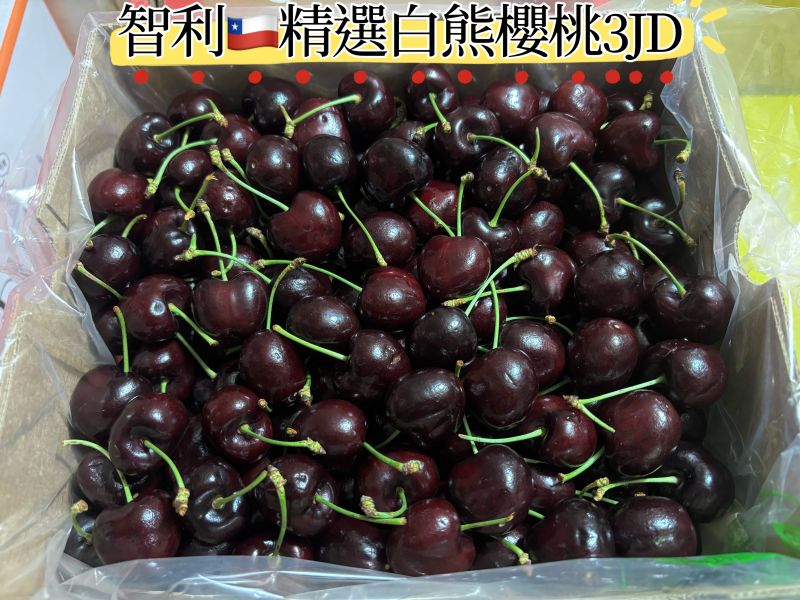 智利精選大品牌白熊櫻桃 Santina品種 硬脆甜好吃CP值超高 海運到貨 