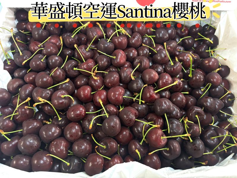 美國華盛頓空運櫻桃 Santina品種 口感硬 甜度很不錯櫻桃味道濃厚好吃 9.5R規格 