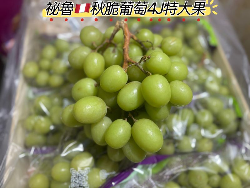 秘魯秋脆綠無籽葡萄 4J規格大果 