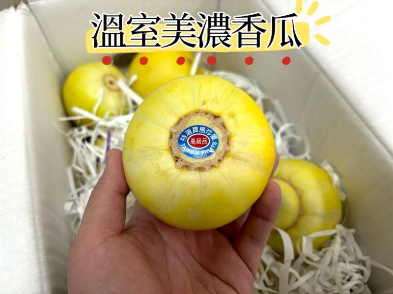 溫室美濃香瓜 微微軟即可食用 甜好吃 