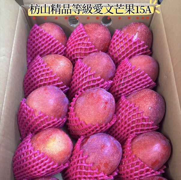 屏東枋山愛文芒果 15A大果 常溫放到表皮出油再食用！ 