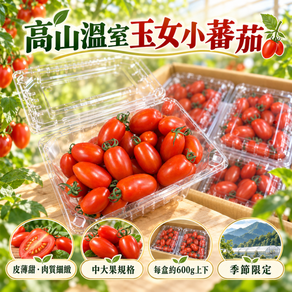 溫室高山玉女薄皮小蕃茄 有甜好吃 肉質細緻 