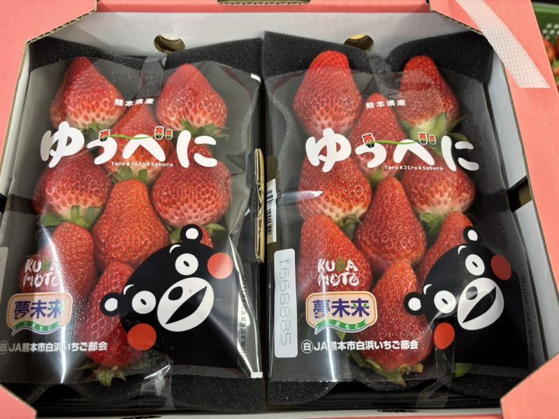 日本空運熊本草莓 季節限定商品！隨機顆數出貨 