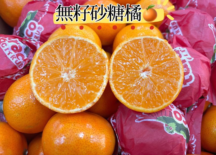 美國無籽砂糖橘 甜度高酸氣低 水分飽滿 