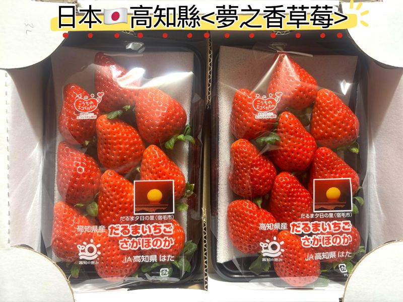日本高知縣精選夢之香草莓 