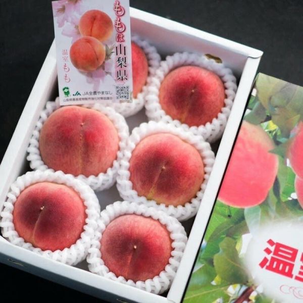 日本空運山梨縣溫室水蜜桃 最高品質最高等級 