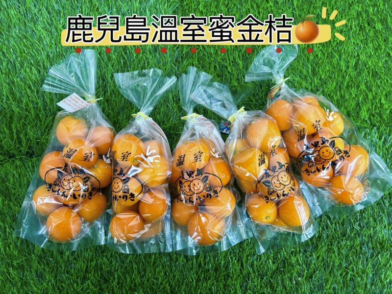 日本鹿兒島溫室蜜金桔 可連皮一起食用不酸不澀 3L等級最大果 