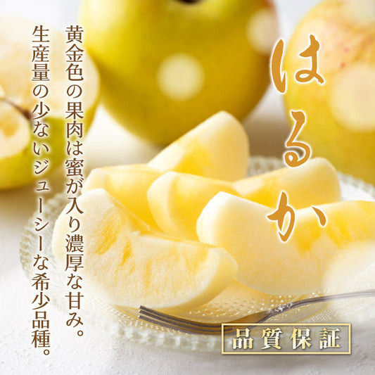 日本蘋果頂級款！季節限定冬戀牛奶蘋果 甜度很高 精選一級品紅特選等級 