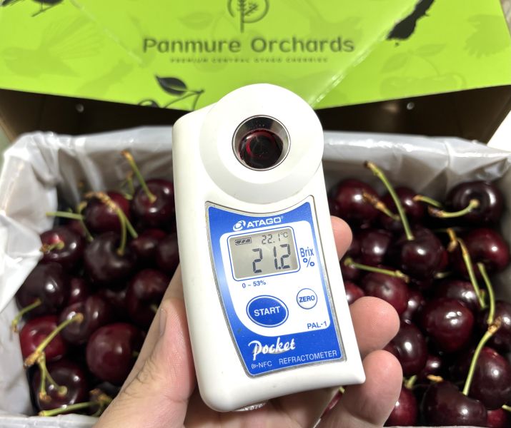 紐西蘭空運精選綠箱櫻桃 30-32mm大果規格 Lapin品種 新鮮綠梗 硬脆甜口感好吃 