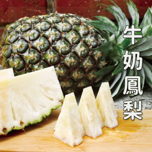 嘉義民雄牛奶鳳梨 肉質細緻無纖維 甜帶點微微酸 