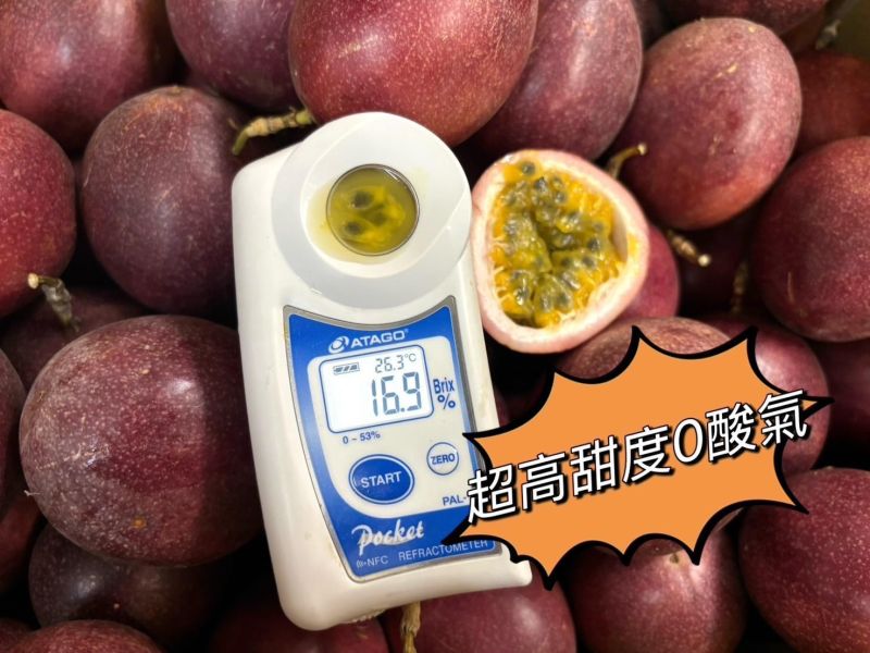 溫室紫尊百香果  甜度高酸氣低好吃！ 