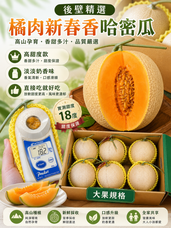 溫室精選新春香橘肉哈密瓜 放到微軟食用甜度高！大顆規格 