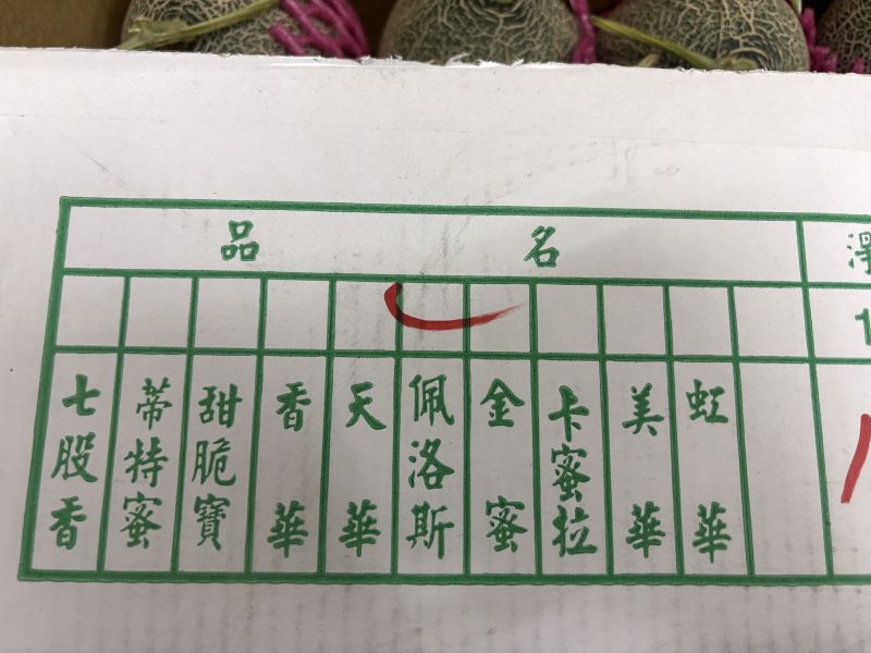 台南將軍鄉特殊品種佩洛斯哈密瓜 脆甜口感 直接吃就好吃 實測甜度約15度 