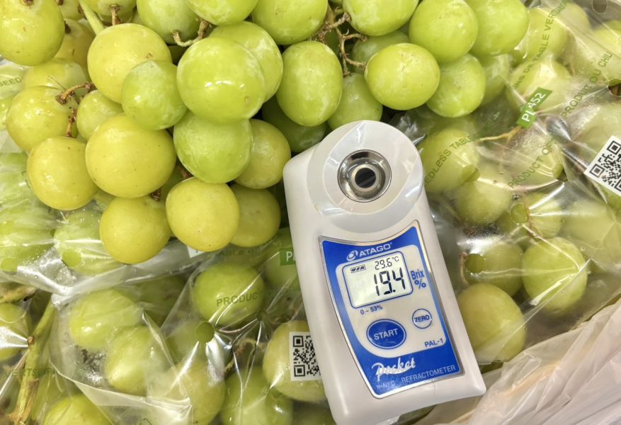 秘魯空運秋脆葡萄 3J規格大果 脆甜口感好吃！ 