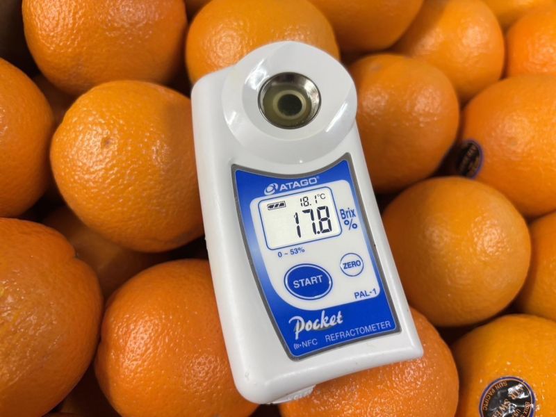 加州空運Air chef 高甜度款無籽肚臍丁 好吃0酸氣 無籽食用更方便 