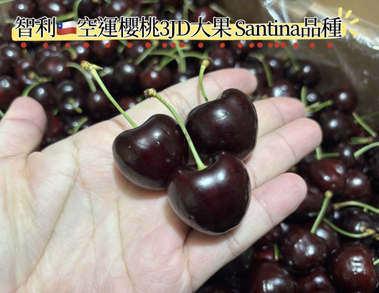 智利空運櫻桃3JD大果規格Santina品種 50元硬幣大小 口感硬甜度高！實測甜度20度以上 